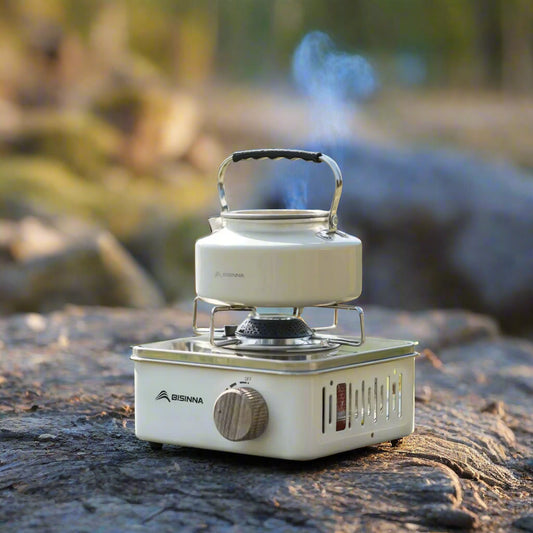 Portable Camping Gas Stove 2800 W Compact